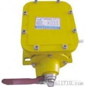 ZL-B、防撕裂裝置、ZL-A縱向撕裂保護(hù)裝置廠家直銷(xiāo)