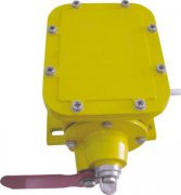 GZL-B縱向撕裂保護開關縱向撕裂開關