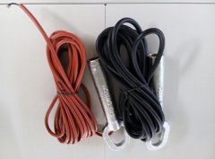 傾斜開關(guān)SL20-30-SS拉姆齊傾斜開關(guān)